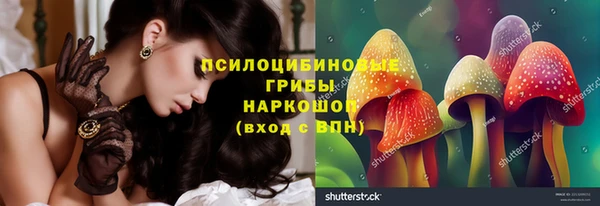прущий лед Богданович