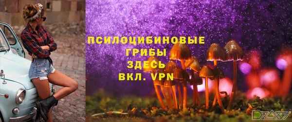 мдпв Куйбышев