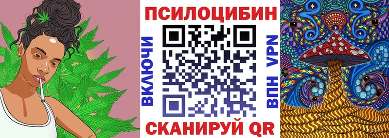 Псилоцибиновые грибы мицелий Шали
