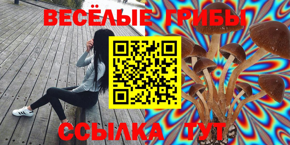 Псилоцибиновые грибы Cubensis  Шали 