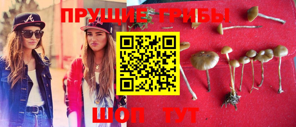 Галлюциногенные грибы мухоморы Шали